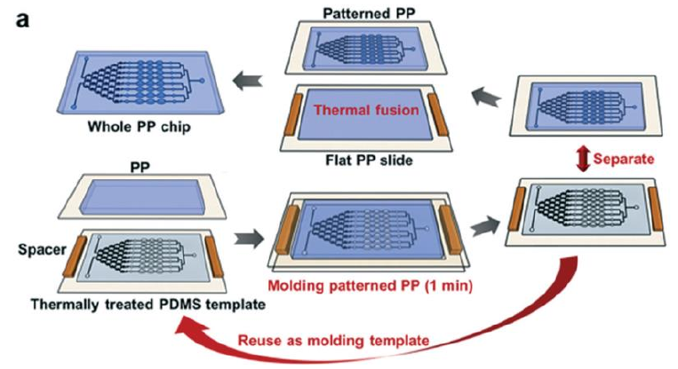 PP 微流控芯片示意图